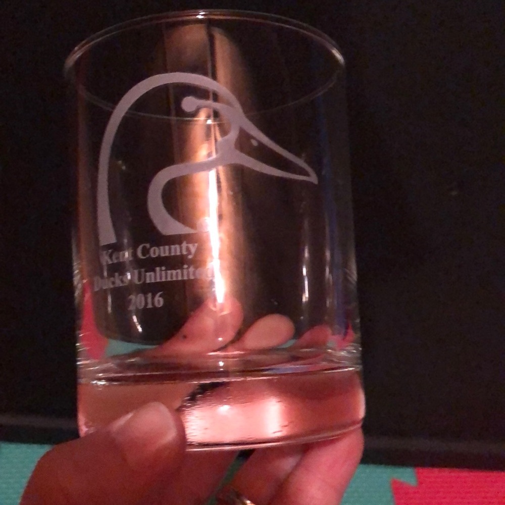 Ducks unlimited glasses